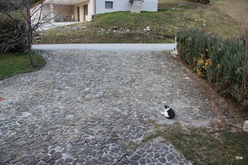 Apartments Tatjana Bovec Dış mekan fotoğraf