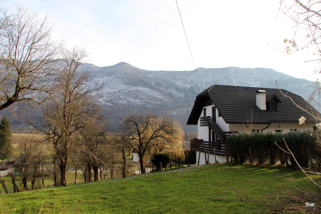 Apartments Tatjana Bovec Dış mekan fotoğraf